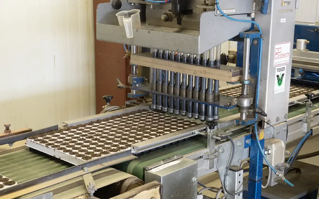 plants for life onze leveranciers de peelkant zaaimachine