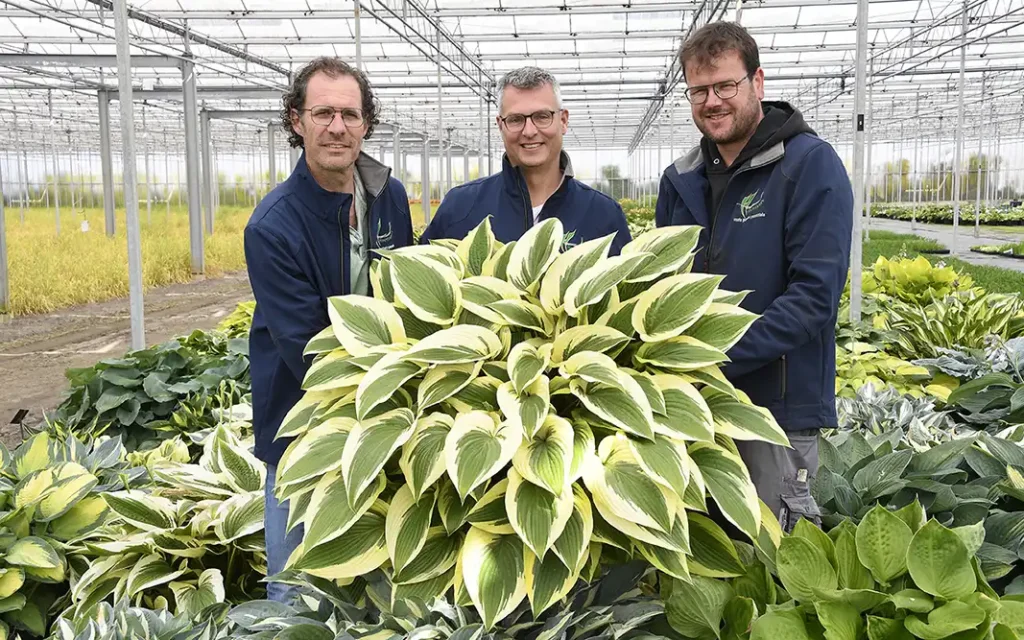 plants for life onze leveranciers heemskerk