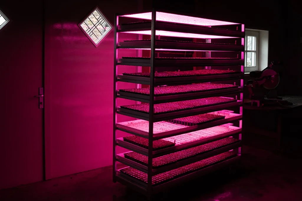 CC kar met LED verlichting