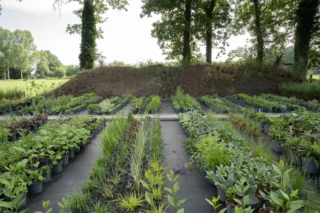 plants for life proeftuin potten testveld