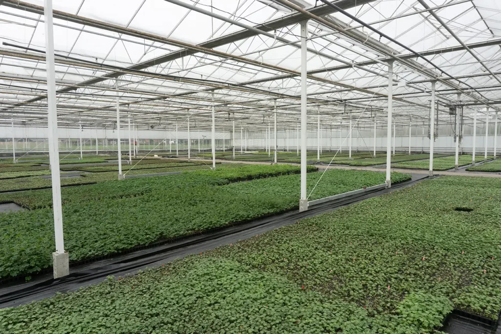 tuinplan ruurlo