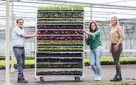 gp plants jongplanten