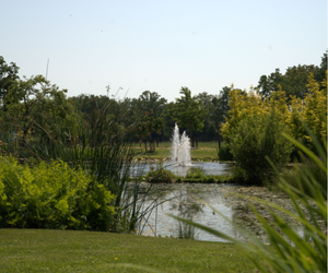 Fontein open tuin 20 juni