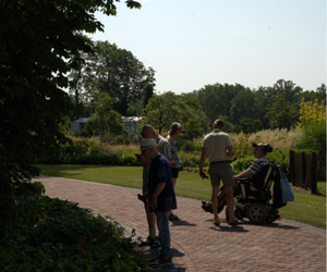 Bezoekers op de oprit open tuin 20 juni